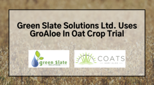 GroAloe in Oat Crop Trial