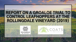 REPORT ON A GROALOE TRIAL TO CONTROL LEAFHOPPERS